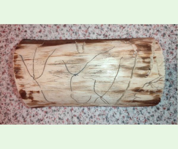 Lykožrút obyčajný