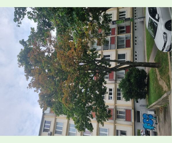 Teplo, sucho a úpal