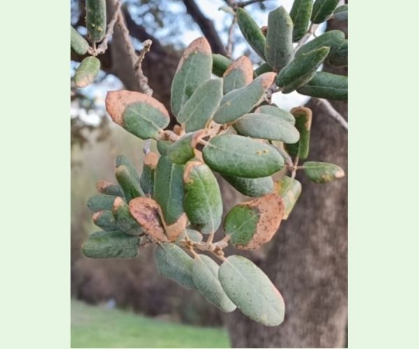 Teplo, sucho a úpal
