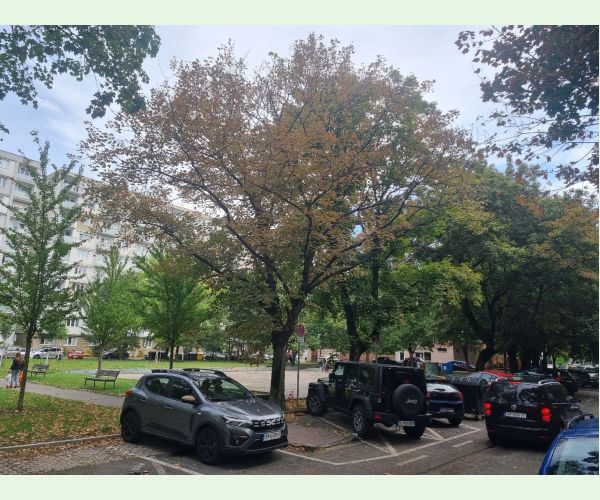 Teplo, sucho a úpal