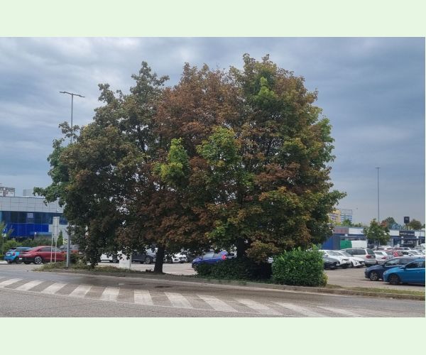 Teplo, sucho a úpal