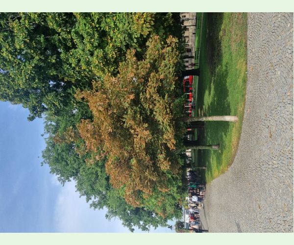 Teplo, sucho a úpal