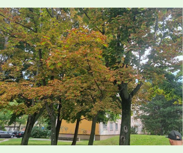 Teplo, sucho a úpal