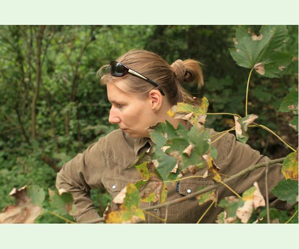 Huba Patrakia echinata