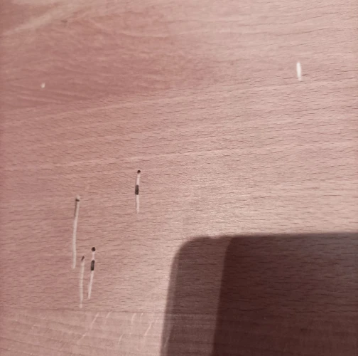 Gertrúda Konárková 