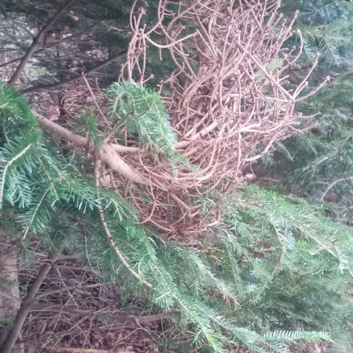 Slavomír Nábočík