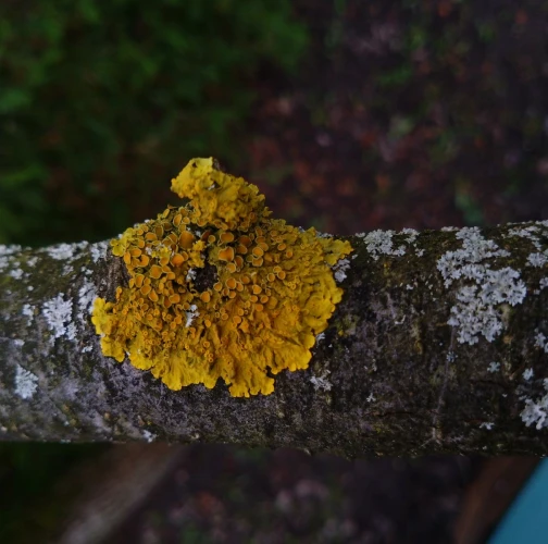 Martina Sucháňová 