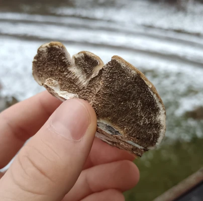 A - nie je v datab&aacute;ze