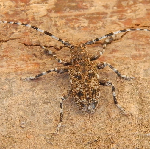 A - nie je v datab&aacute;ze