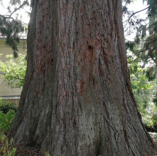 A - nie je v datab&aacute;ze