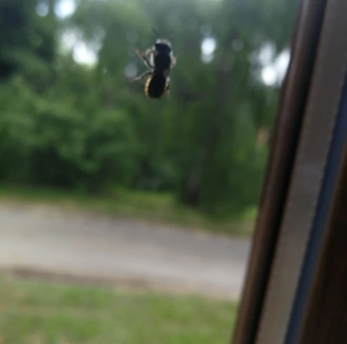 A - nie je v datab&aacute;ze