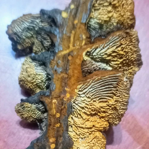 Slavomír Nábočík