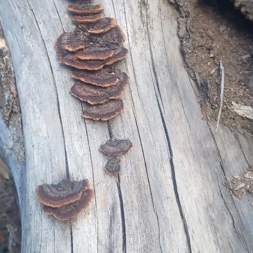 Slavomír Nábočík