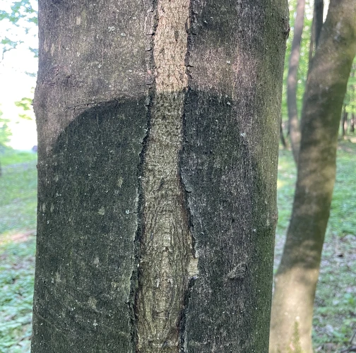  Vladimír Šalgovič