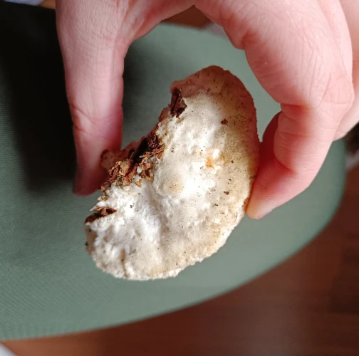 Adriána Majeríková 