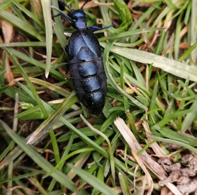 A - nie je v datab&aacute;ze