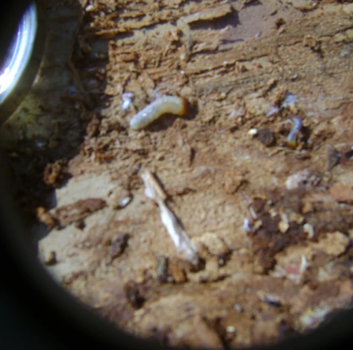 A - nejednoznačne určen&yacute;, nie sme si ist&iacute;