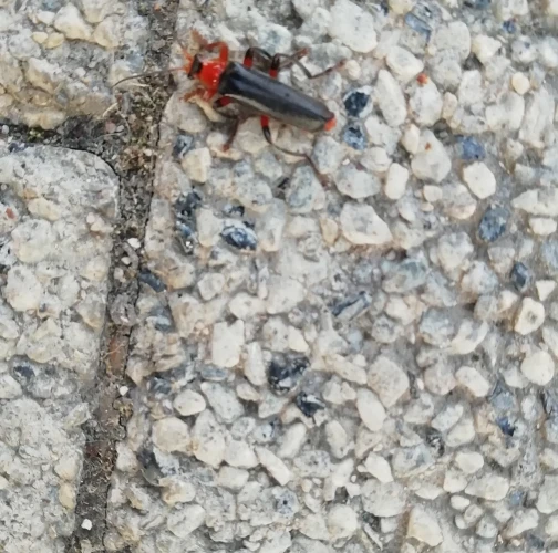 A - nie je v datab&aacute;ze