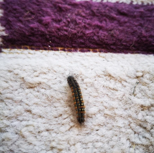 A - nie je v datab&aacute;ze