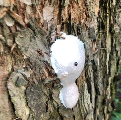 A - nie je v datab&aacute;ze