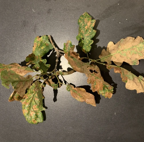 A - nie je v datab&aacute;ze