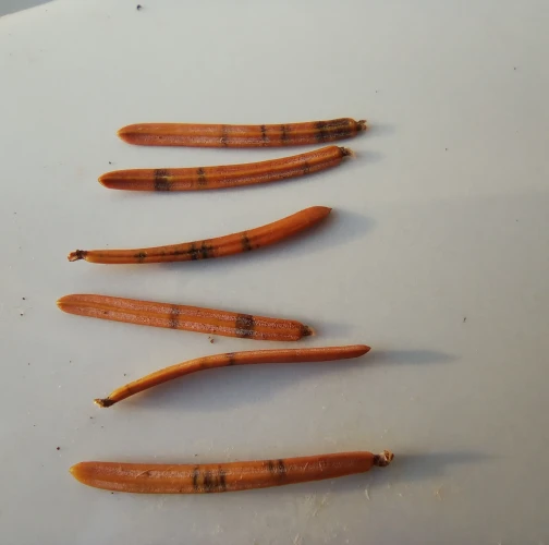 A - nie je v datab&aacute;ze