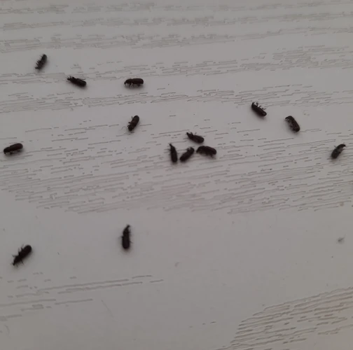 A - nie je v datab&aacute;ze