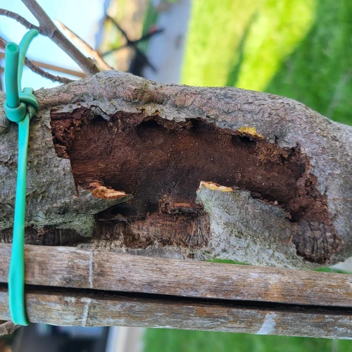 Ľubomír Tichanský