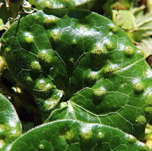 Ing. Ladislav kočik