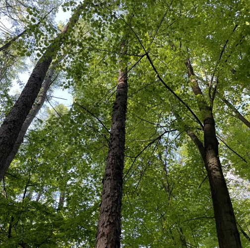  Vladimír Šalgovič