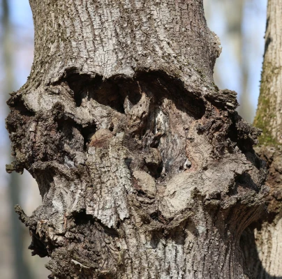 A - nie je v datab&aacute;ze
