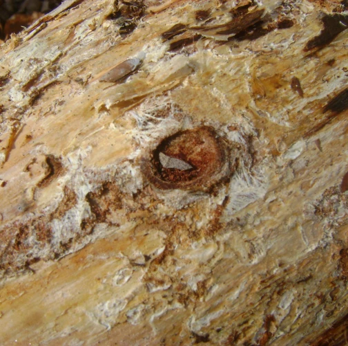 A - nejednoznačne určen&yacute;, nie sme si ist&iacute;