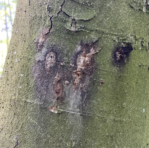  Vladimír Šalgovič