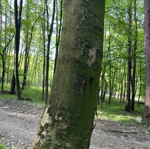  Vladimír Šalgovič