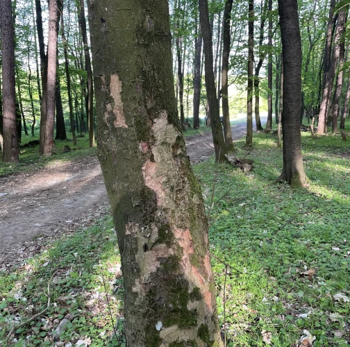  Vladimír Šalgovič