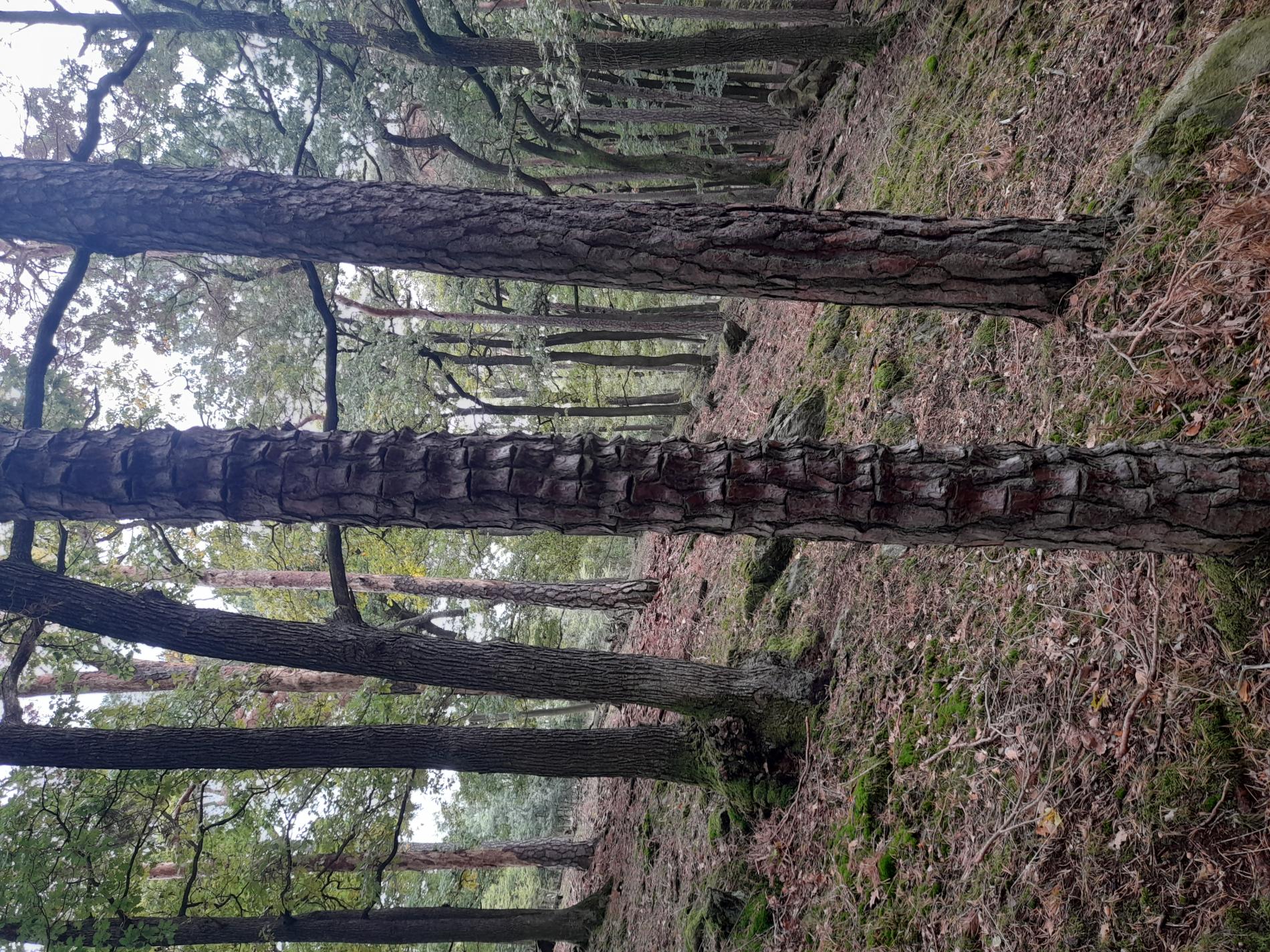 a-nejednoznacne-urceny-nie-sme-si-isti