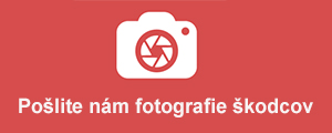 Fotografie