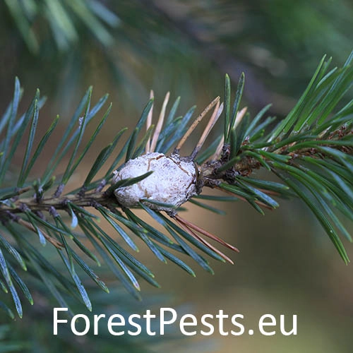 Obaľovač smolov&yacute;