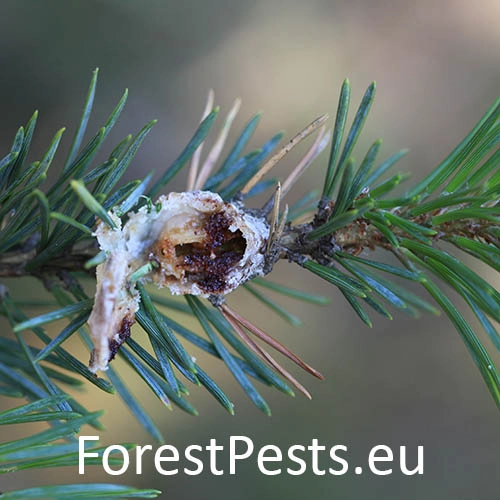 Obaľovač smolov&yacute;