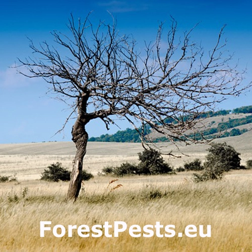 Teplo, sucho a &uacute;pal